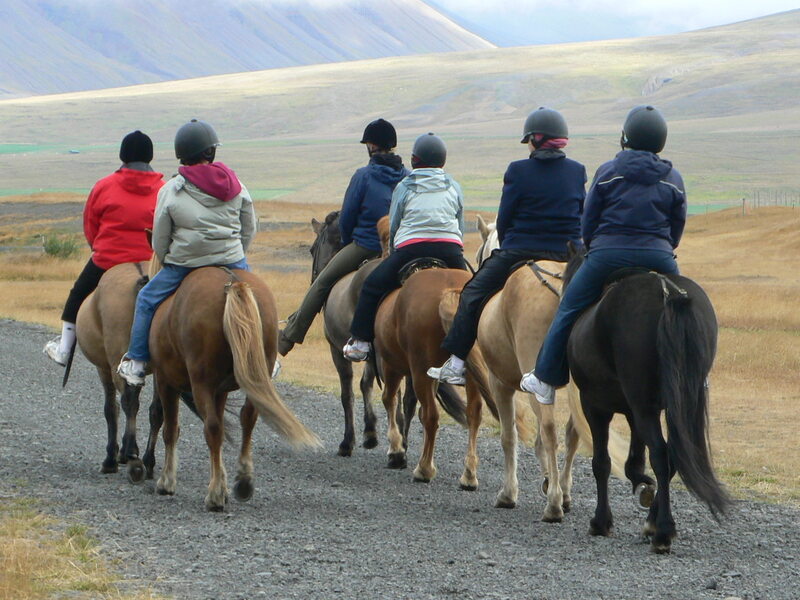 Six people riding Icelandic horses